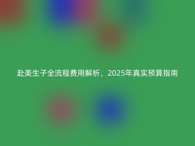 赴美生子全流程费用解析，2025年真实预算指南