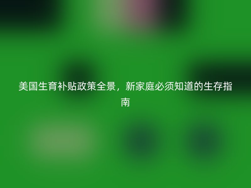 美国生育补贴政策全景，新家庭必须知道的生存指南