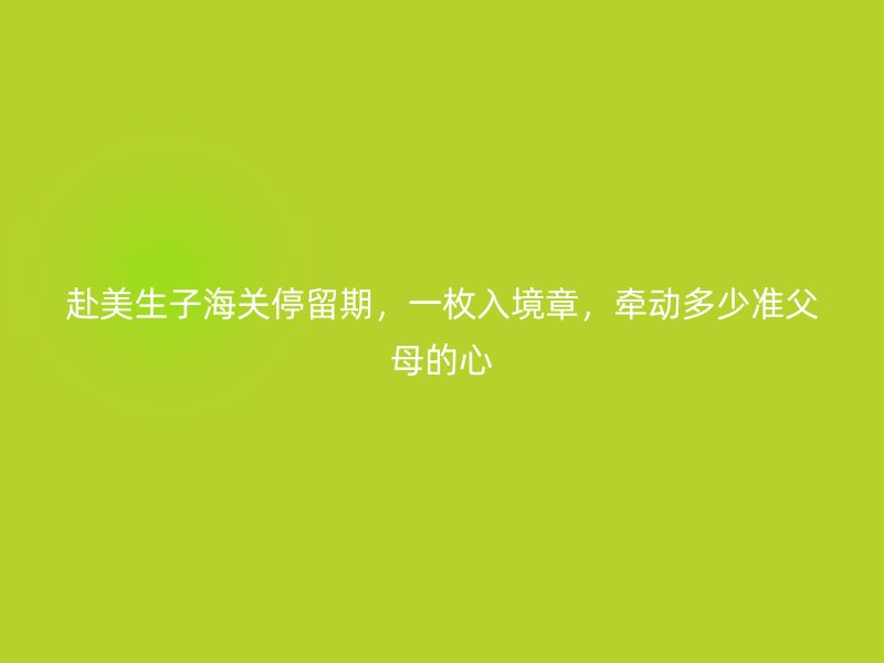 赴美生子海关停留期,一枚入境章,牵动多少准父母的心