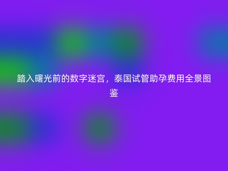 踏入曙光前的数字迷宫，泰国试管助孕费用全景图鉴