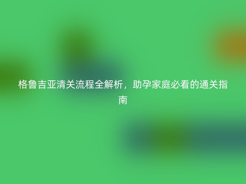 格鲁吉亚清关流程全解析,助孕家庭必看的通关指南