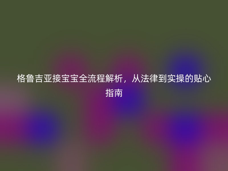 格鲁吉亚接宝宝全流程解析，从法律到实操的贴心指南