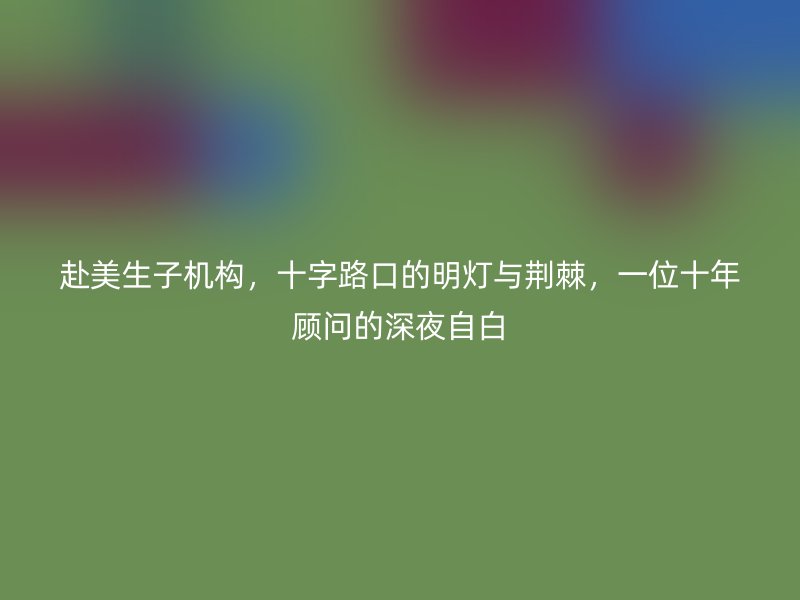 赴美生子机构，十字路口的明灯与荆棘，一位十年顾问的深夜自白