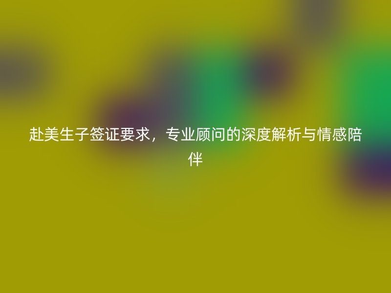 赴美生子签证要求，专业顾问的深度解析与情感陪伴