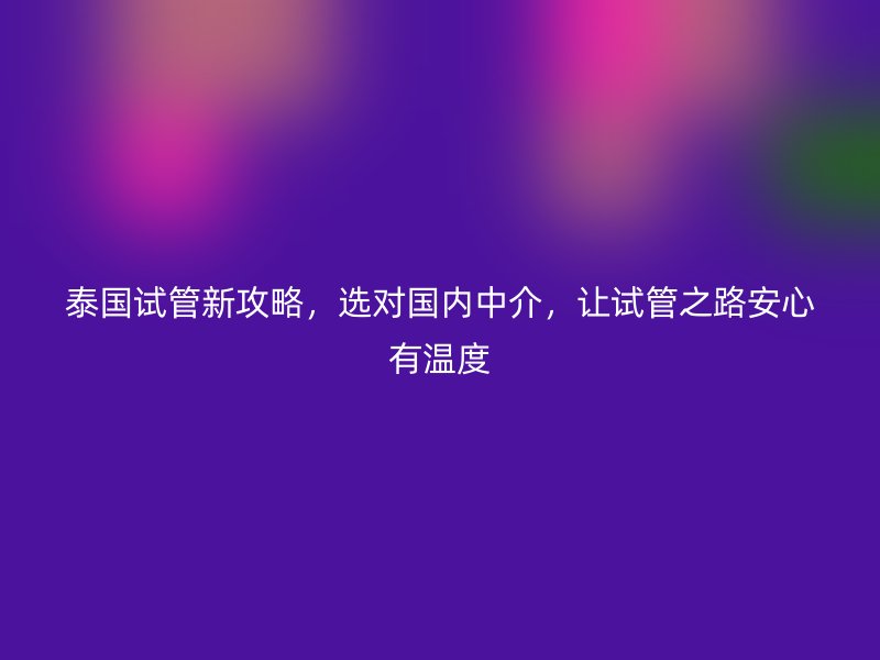 泰国试管新攻略,选对国内中介,让试管之路安心有温度